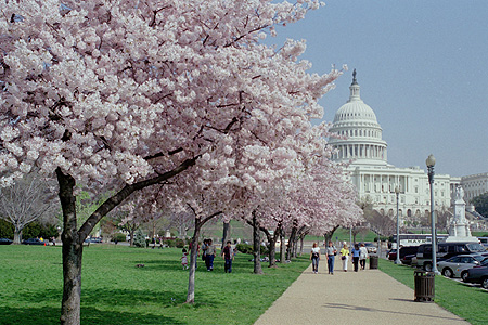 Cityscapes and architectural photography
