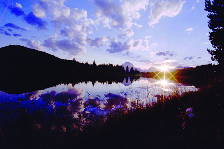 Selection of nature photography